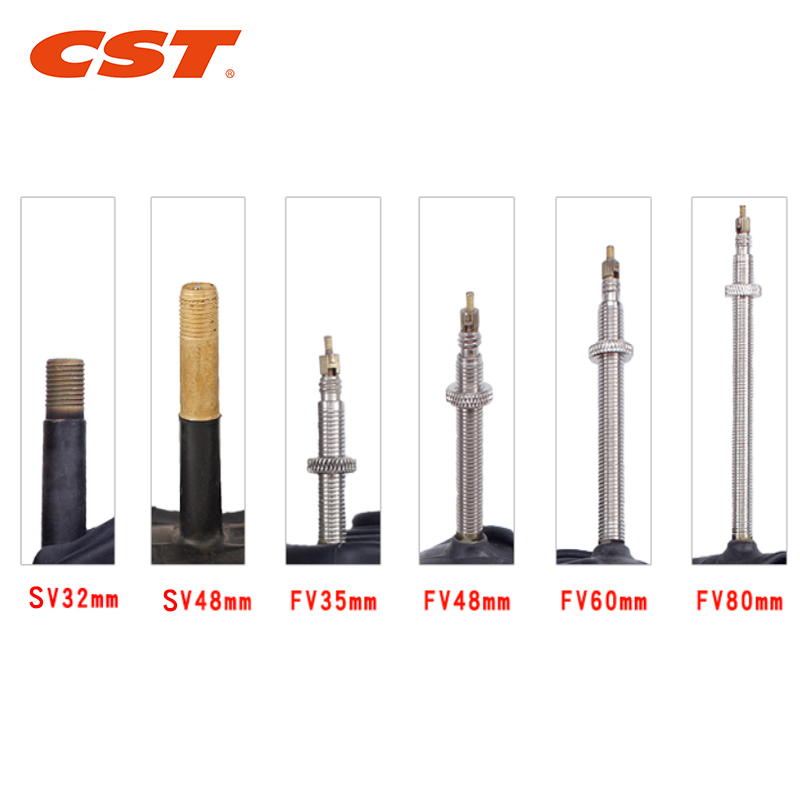 2PCS CST Bike Inner Tubes 20in - Inner Tube 700C review and price